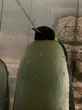 名古屋港水族館に投稿された画像（2025/7/7）