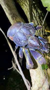 宮古島マリンショップSmileyに投稿された画像（2025/7/7）