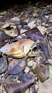 宮古島マリンショップSmileyに投稿された画像（2025/7/7）