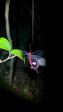 宮古島マリンショップSmileyに投稿された画像（2025/7/7）