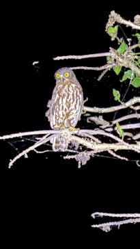 宮古島マリンショップSmileyに投稿された画像（2025/7/7）