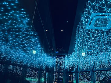 東京タワーに投稿された画像（2025/7/7）