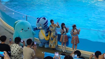 新江ノ島水族館に投稿された画像（2025/7/7）