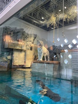 NIFREL（ニフレル）に投稿された画像（2025/7/7）