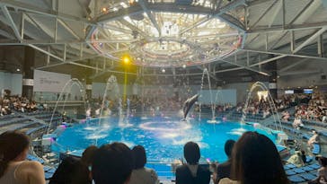 マクセル アクアパーク品川に投稿された画像（2025/7/8）