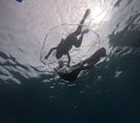 沖縄マリンサービス碧に投稿された画像（2025/7/8）