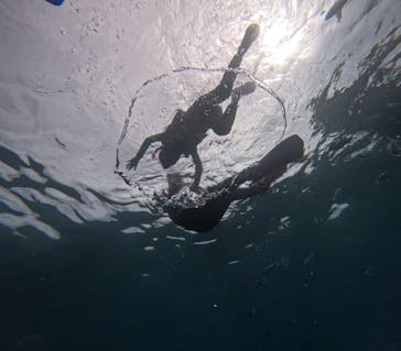 沖縄マリンサービス碧に投稿された画像（2025/7/8）