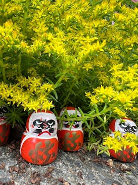 勝尾寺に投稿された画像（2025/7/8）