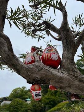 勝尾寺に投稿された画像（2025/7/8）