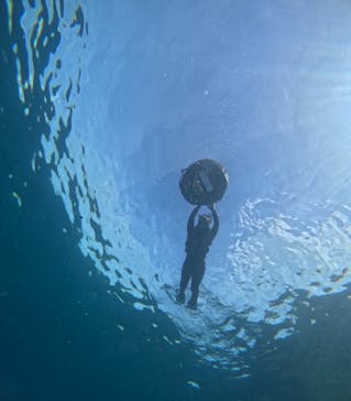 B-nature（ビーネイチャー）に投稿された画像（2025/7/8）