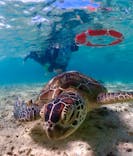 OKIDOKIマリンツアー宮古島に投稿された画像（2025/7/8）