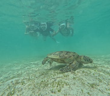 宮古島マリン SUGAR3（シュガースリー）に投稿された画像（2025/7/8）