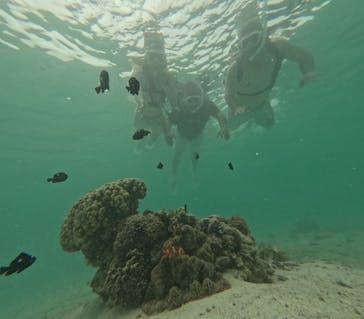 宮古島マリン SUGAR3（シュガースリー）に投稿された画像（2025/7/8）