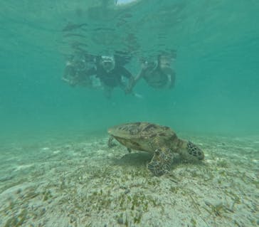 宮古島マリン SUGAR3（シュガースリー）に投稿された画像（2025/7/8）