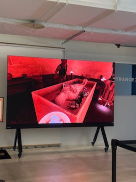 IMMERSIVE JOURNEYに投稿された画像（2025/7/8）