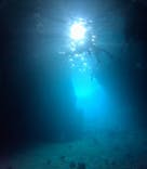 武藤潜水に投稿された画像（2025/7/8）