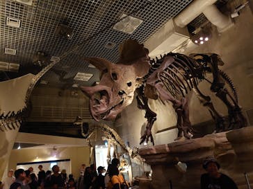 国立科学博物館に投稿された画像（2025/7/8）