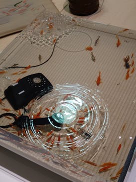 あべのハルカス美術館に投稿された画像（2025/7/8）