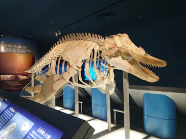 名古屋港水族館に投稿された画像（2025/7/8）