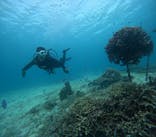 青の洞窟専門店　沖縄ダイビングショップ和に投稿された画像（2025/7/8）