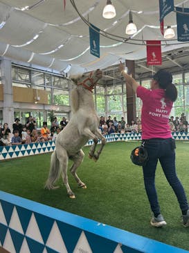 ノーザンホースパークに投稿された画像（2025/7/8）