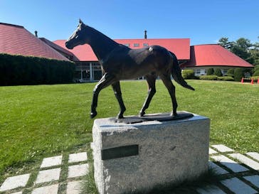 ノーザンホースパークに投稿された画像（2025/7/8）