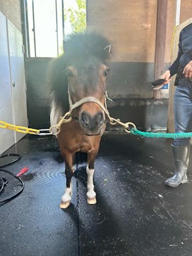 ノーザンホースパークに投稿された画像（2025/7/8）