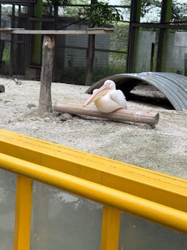 東武動物公園に投稿された画像（2025/7/8）