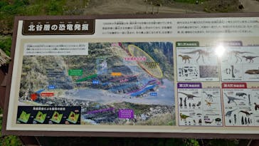 福井県立恐竜博物館に投稿された画像（2025/7/8）