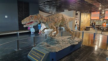 福井県立恐竜博物館に投稿された画像（2025/7/8）