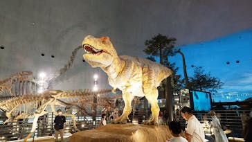 福井県立恐竜博物館に投稿された画像（2025/7/8）