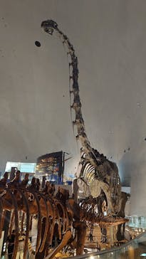 福井県立恐竜博物館に投稿された画像（2025/7/8）