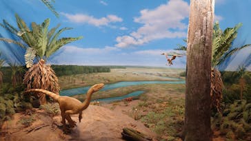 福井県立恐竜博物館に投稿された画像（2025/7/8）