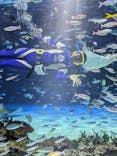 サンシャイン水族館に投稿された画像（2025/7/8）