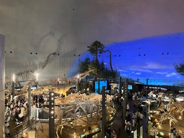 福井県立恐竜博物館に投稿された画像（2025/7/8）