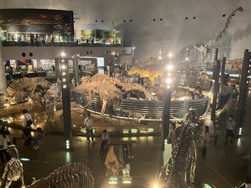 福井県立恐竜博物館に投稿された画像（2025/7/8）
