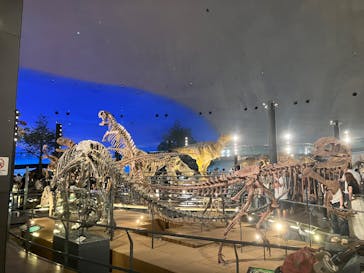 福井県立恐竜博物館に投稿された画像（2025/7/8）