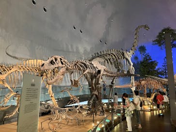 福井県立恐竜博物館に投稿された画像（2025/7/8）