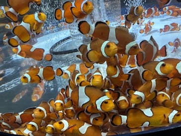 鴨川シーワールドに投稿された画像（2025/7/8）