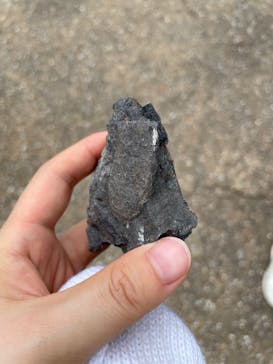 福井県立恐竜博物館に投稿された画像（2025/7/8）