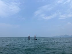 SIGNAL（シグナル） マイアミベースに投稿された画像（2025/7/8）