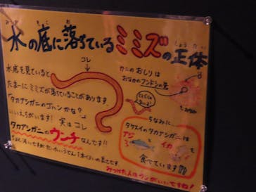 竹島水族館に投稿された画像（2025/7/8）