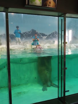 南知多ビーチランド＆南知多おもちゃ王国に投稿された画像（2025/7/8）