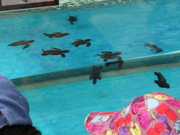 名古屋港水族館に投稿された画像（2025/7/8）