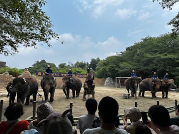 ANIMAL WONDER REZOURT 市原ぞうの国・サユリワールドに投稿された画像（2025/7/8）