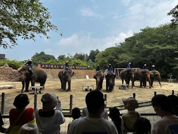 ANIMAL WONDER REZOURT 市原ぞうの国・サユリワールドに投稿された画像（2025/7/8）