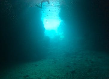 武藤潜水に投稿された画像（2025/7/9）