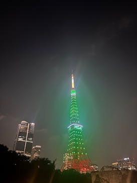 東京タワーに投稿された画像（2025/7/9）