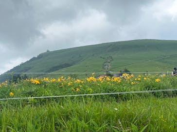 車山高原SKYPARK RESORTに投稿された画像（2025/7/9）