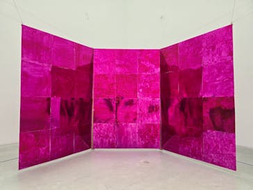 金沢21世紀美術館に投稿された画像（2025/7/9）